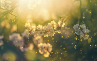 Breathing Easier: What’s New in Seasonal Allergy Care
